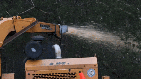 giphy-downsized.gif
