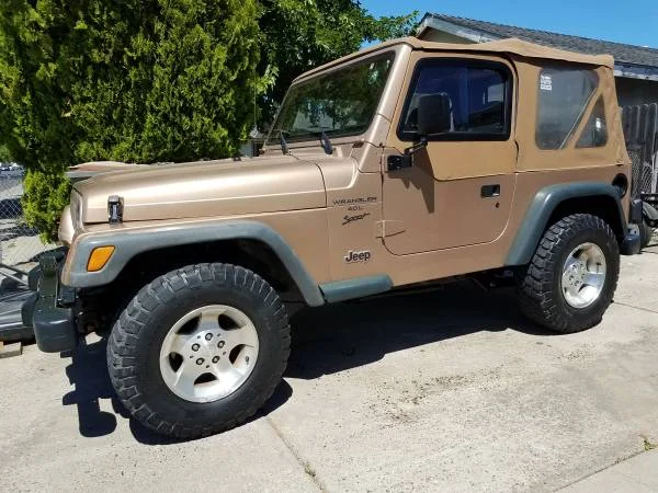 Gold TJ.webp
