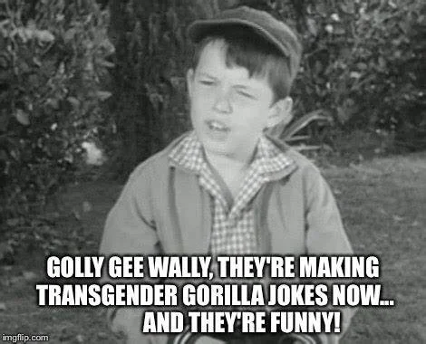 golly gee.webp
