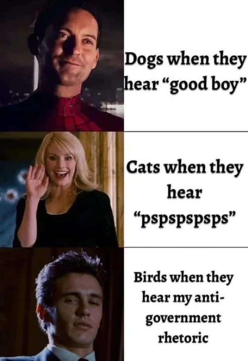 Good Boy.webp