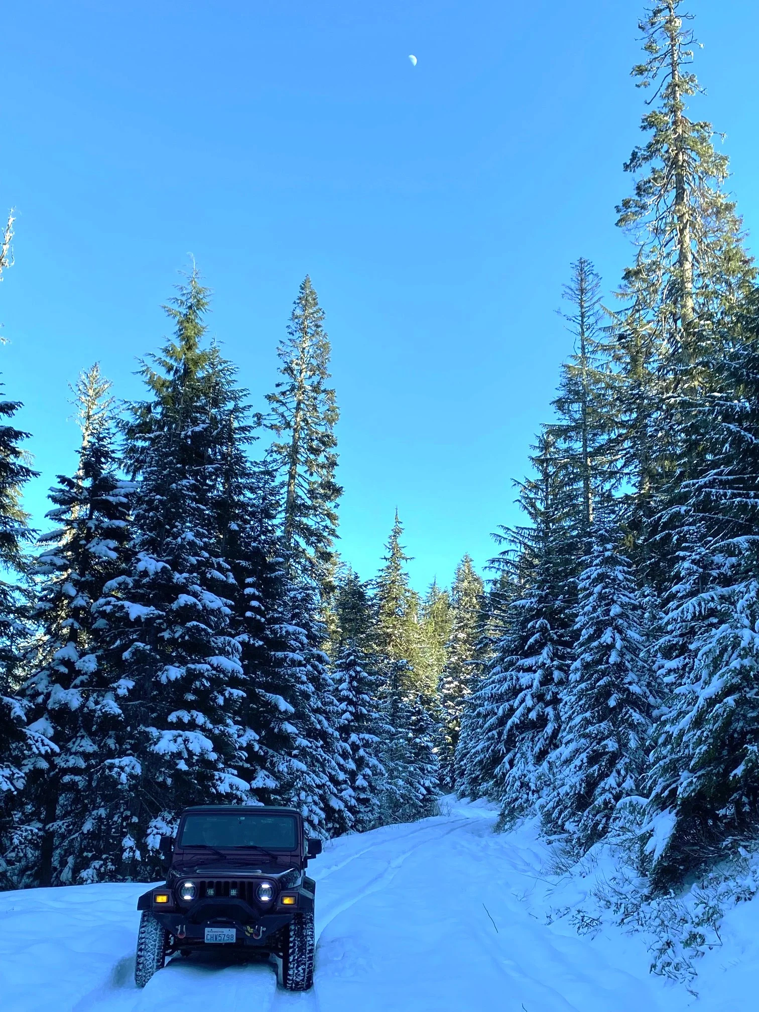Green Mtn 1.webp