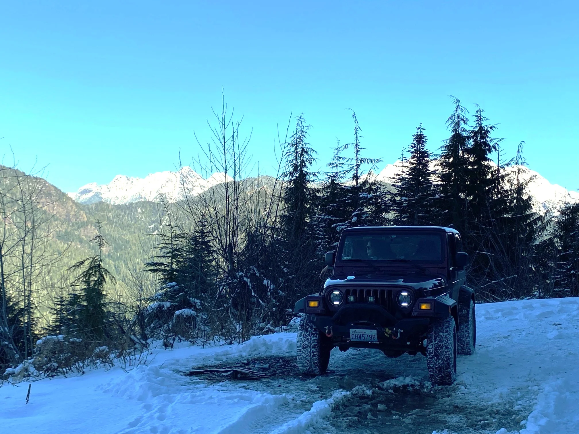 Green Mtn 2.webp