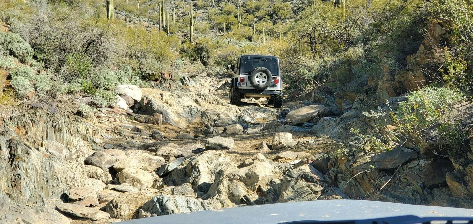 gregsexcellentadventure2023-021.webp