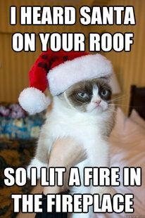 Grumpy-Cat-Christmas-Meme.jpg