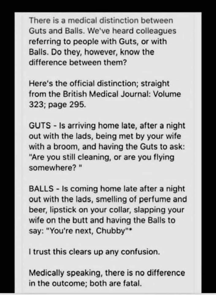 Guts.webp