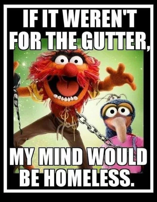 GutterMind.jpg