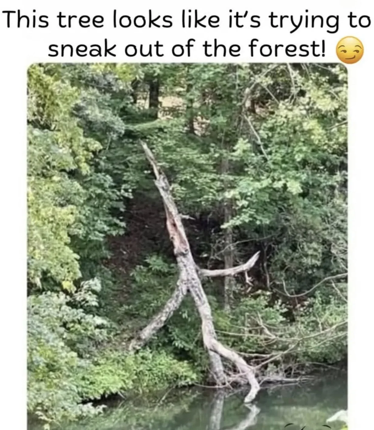 gwsrdk0wwaaptni-webp.webp