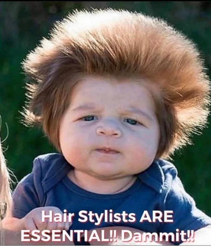 hair.webp