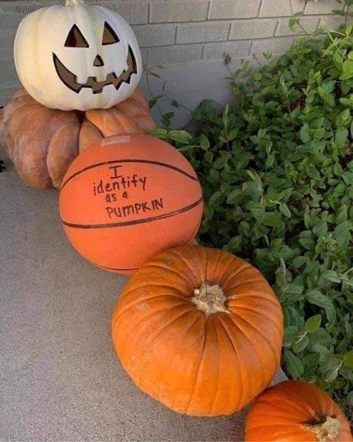 Halloween Identify as a pumpkin.jpg