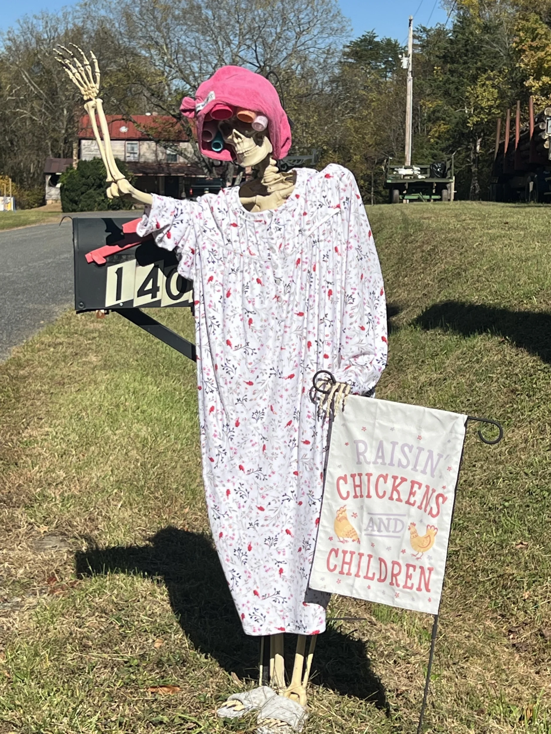 Halloween lady.webp
