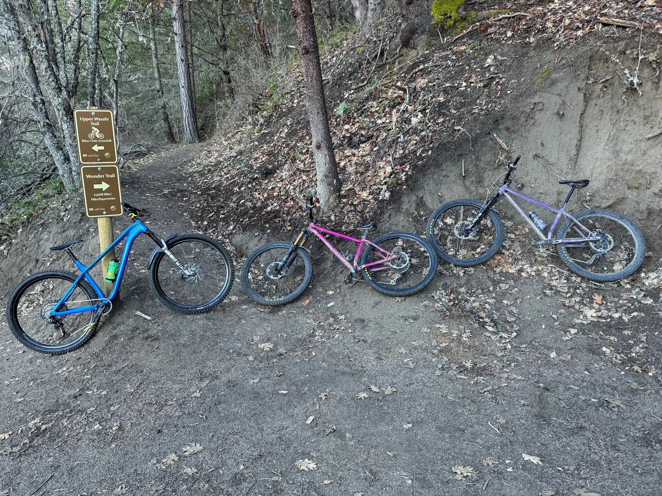 hardtails.jpg