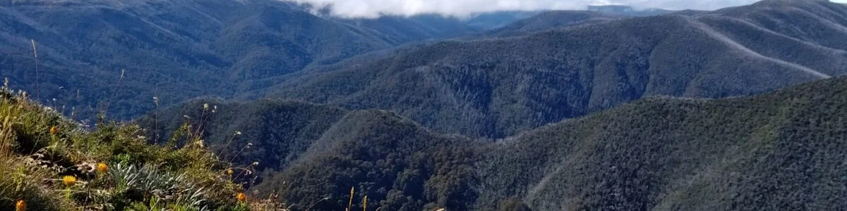 header_08-1920x480.webp