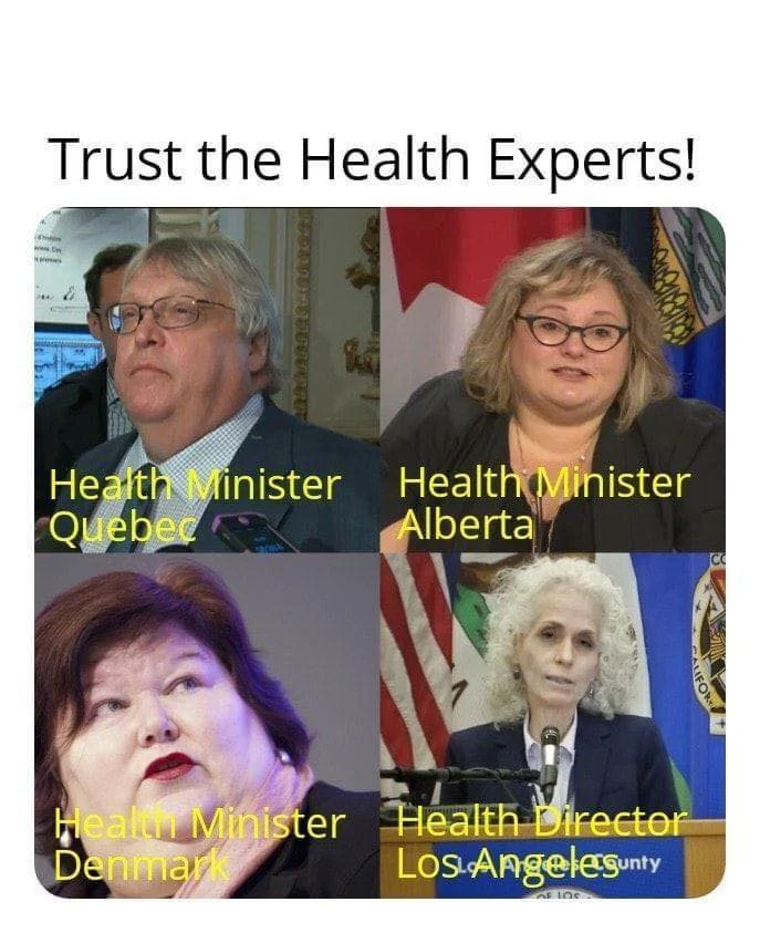 health experts.webp