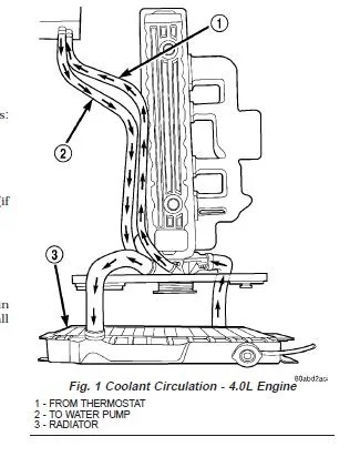 Heater Hoses.webp