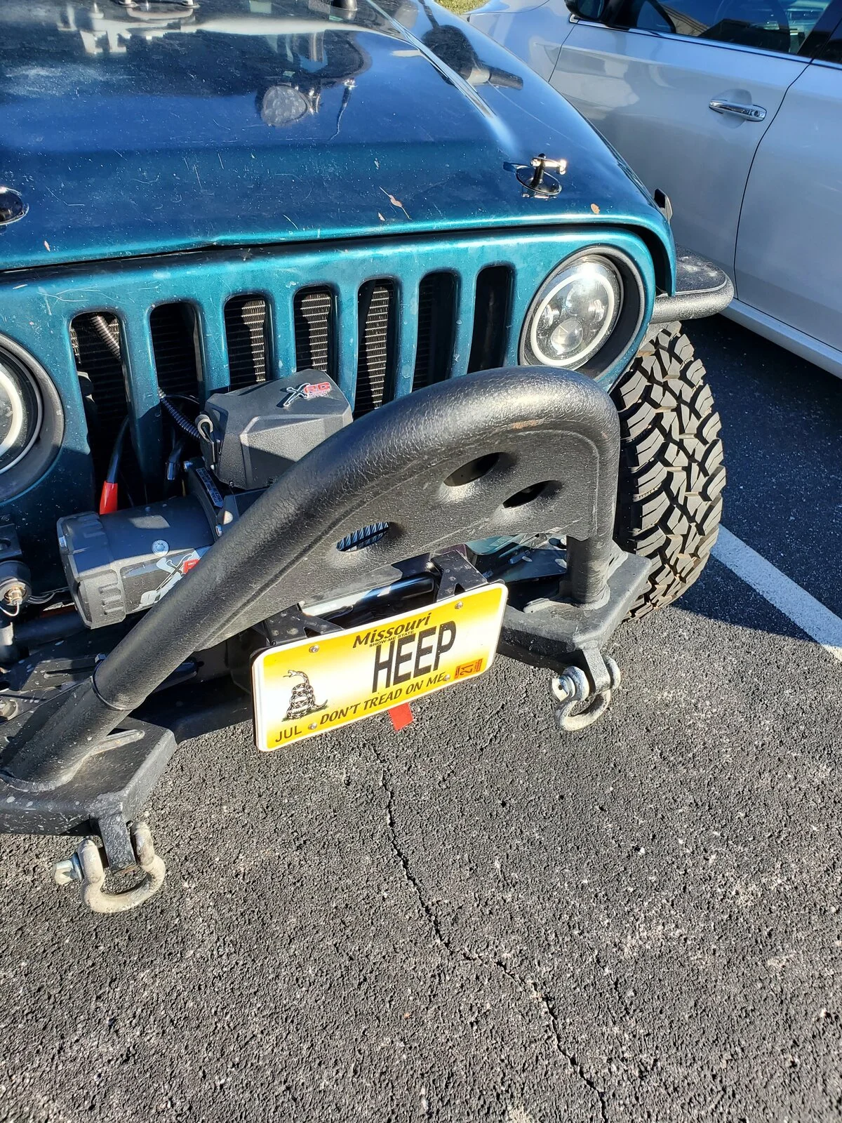 HEEP STINGER.webp