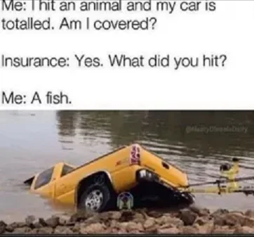 Hit a fish.jpg