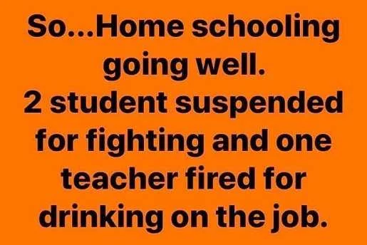 homeschooling-going-well-two-students-suspended-fighting-teacher-fired-for-drinking-on-job.webp