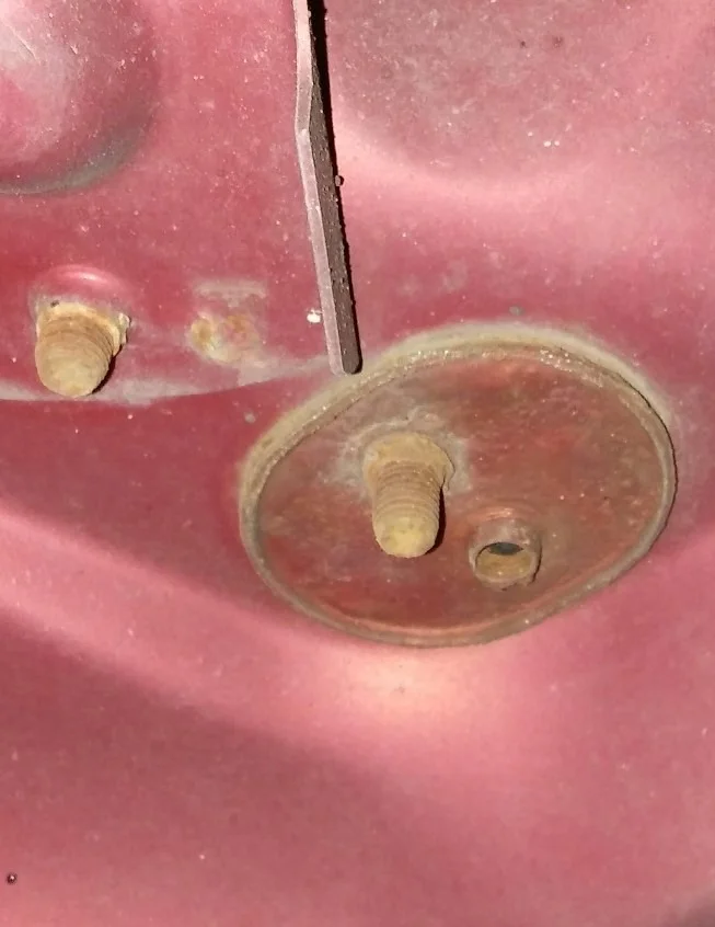 Horn Plate.webp