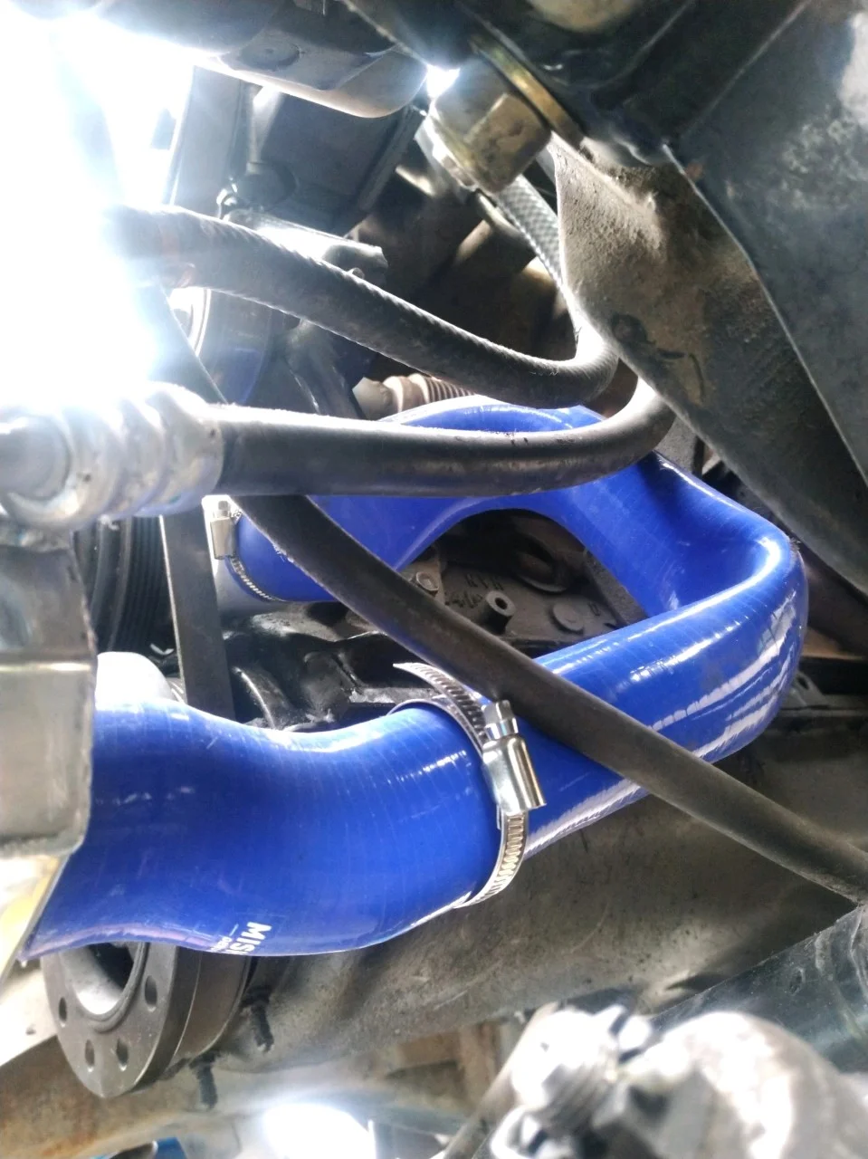 hose 3.webp