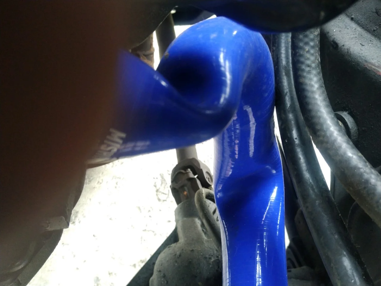 hose 4.webp