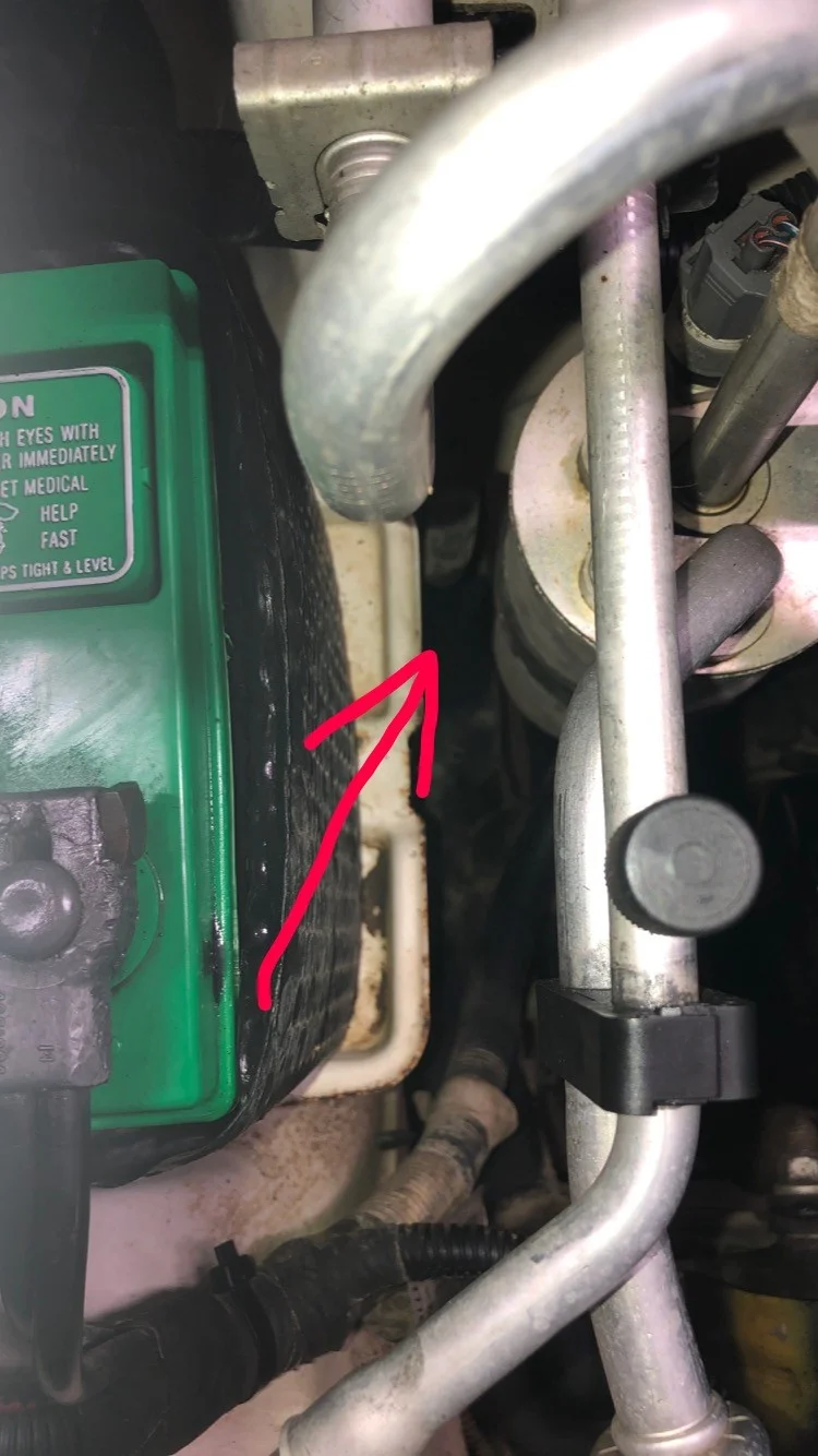 Hose2.webp