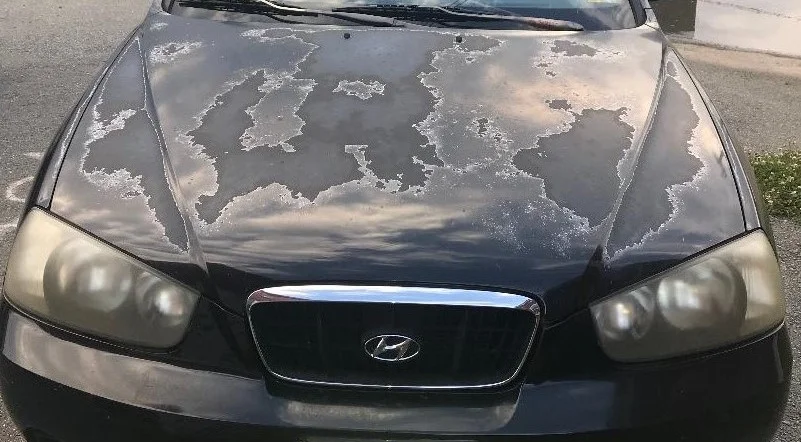 Hyundai hood (4).webp