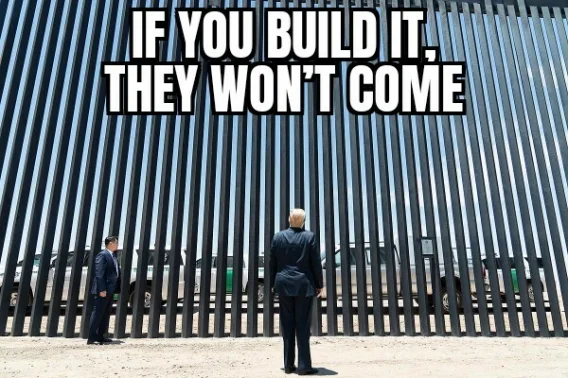 If you build it - t.webp