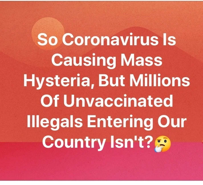 illegals.webp