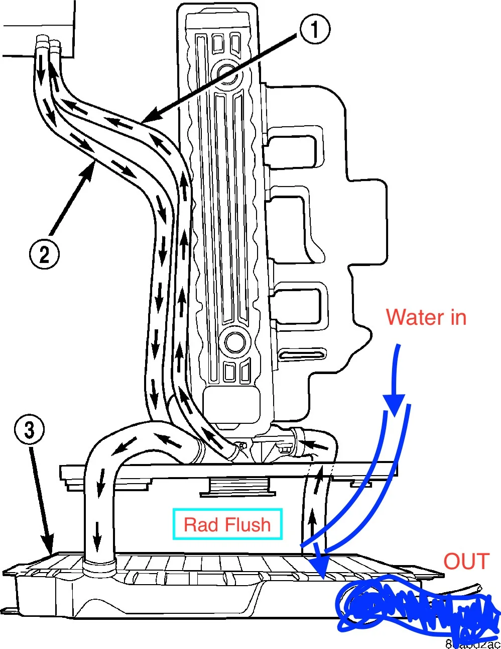 Image 1.webp