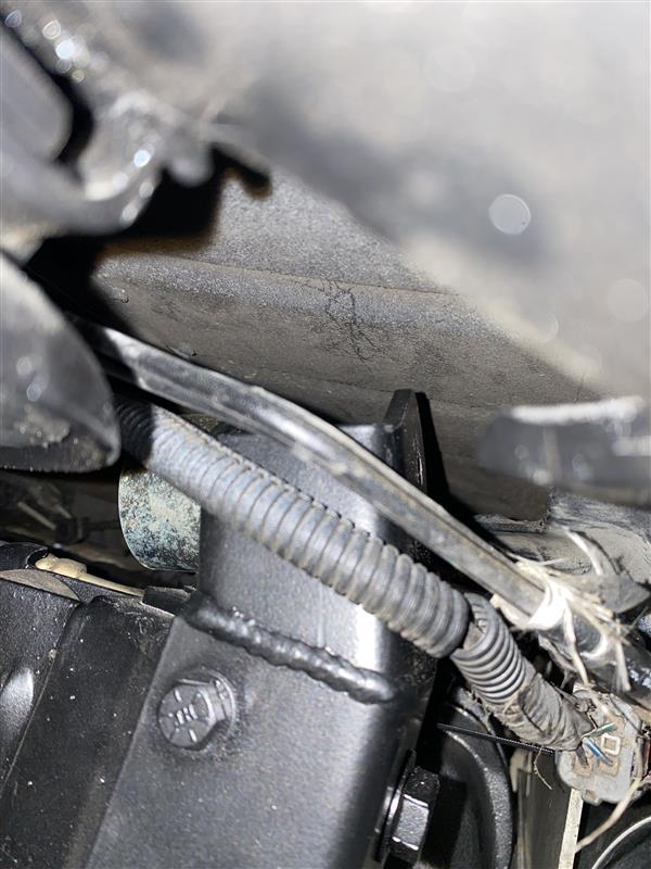 Image - 2025-09-17T090724.005.jpg