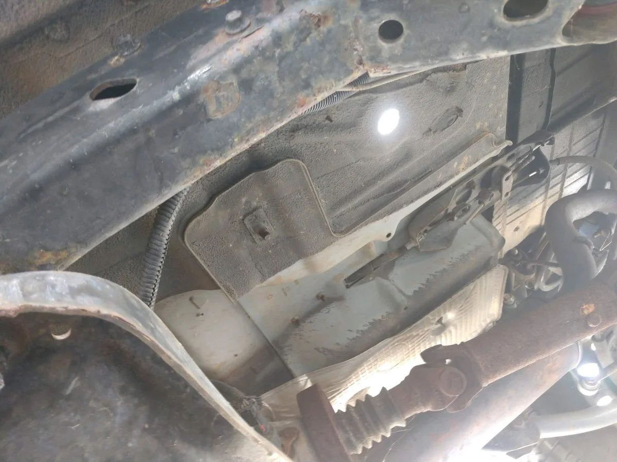 image.webp