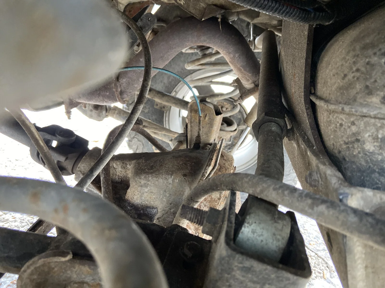 image.webp