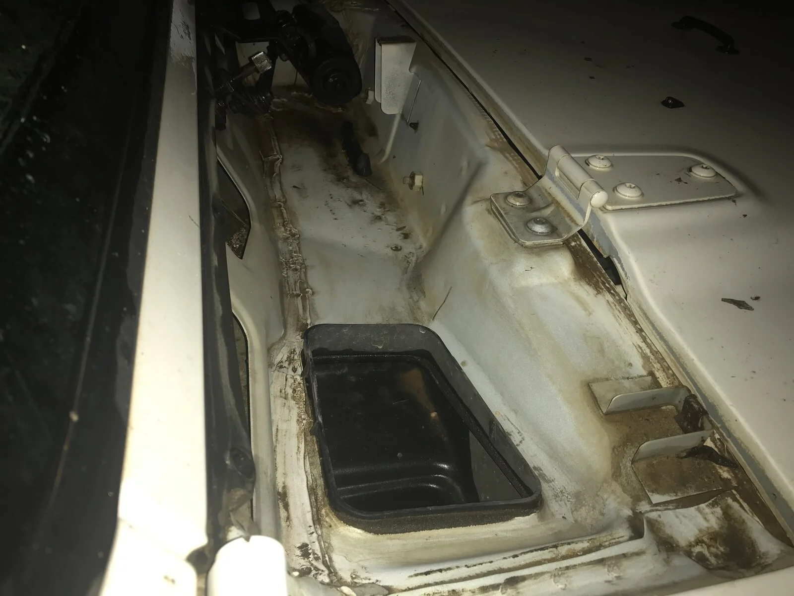 image.webp