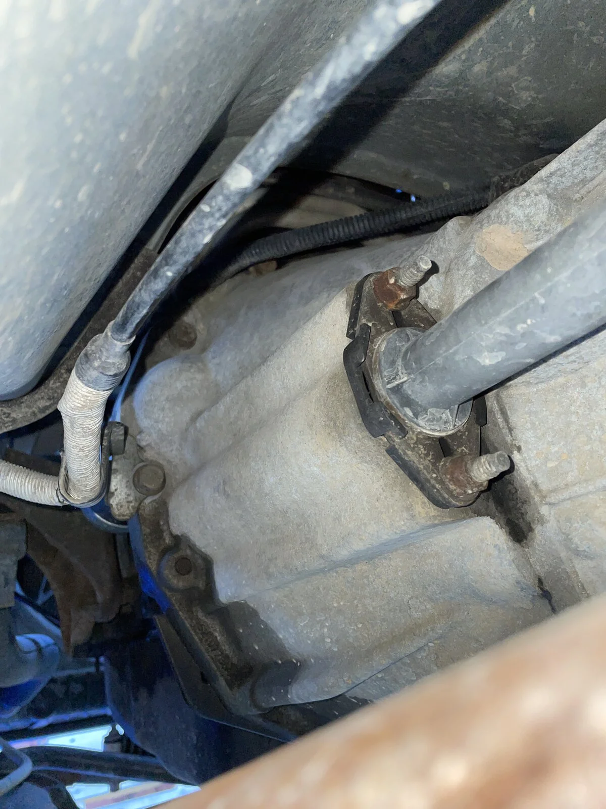 image.webp