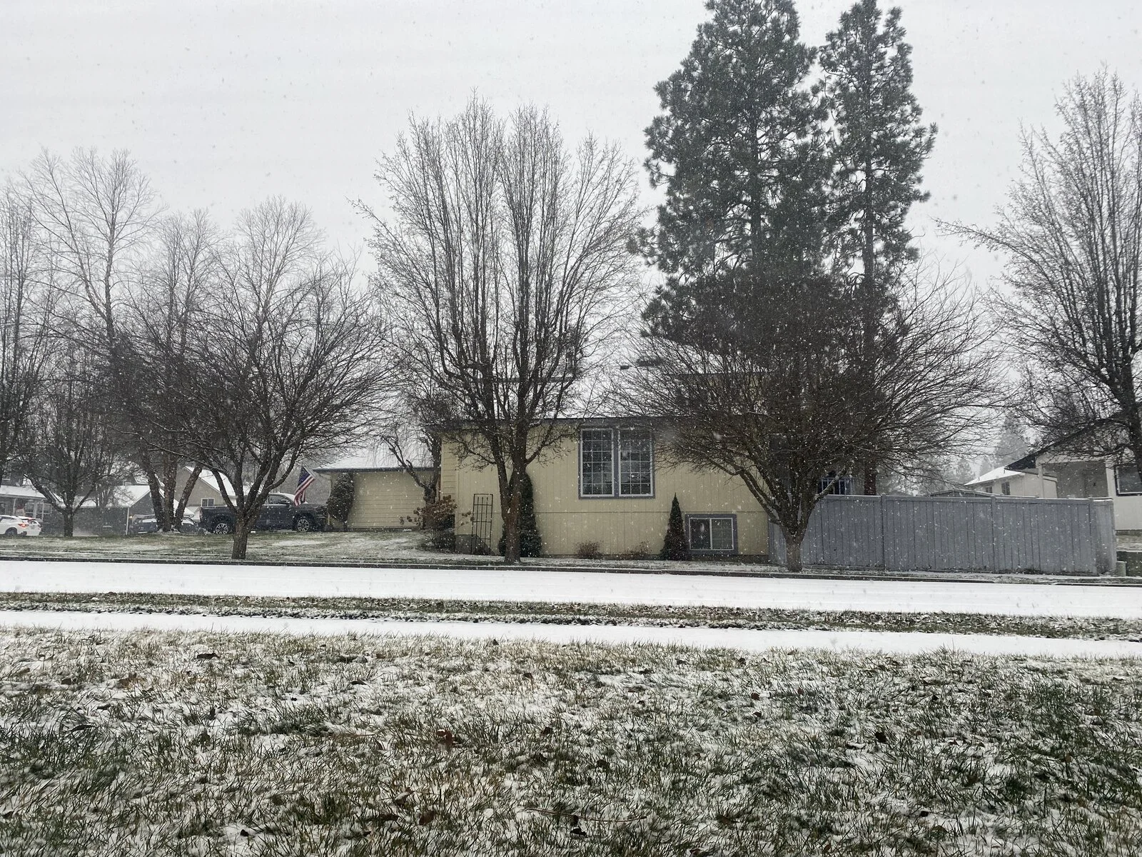 image.webp