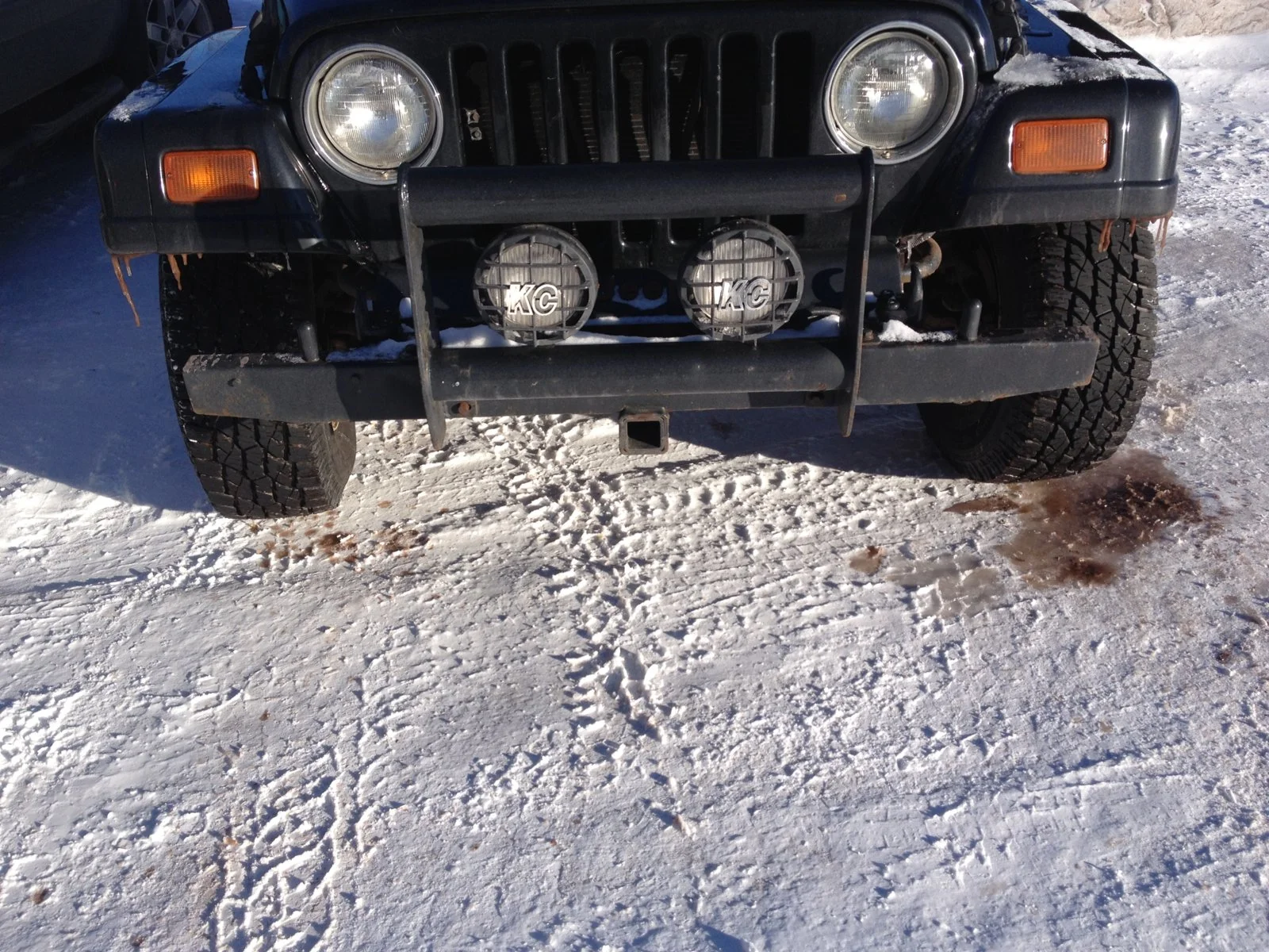 image.webp