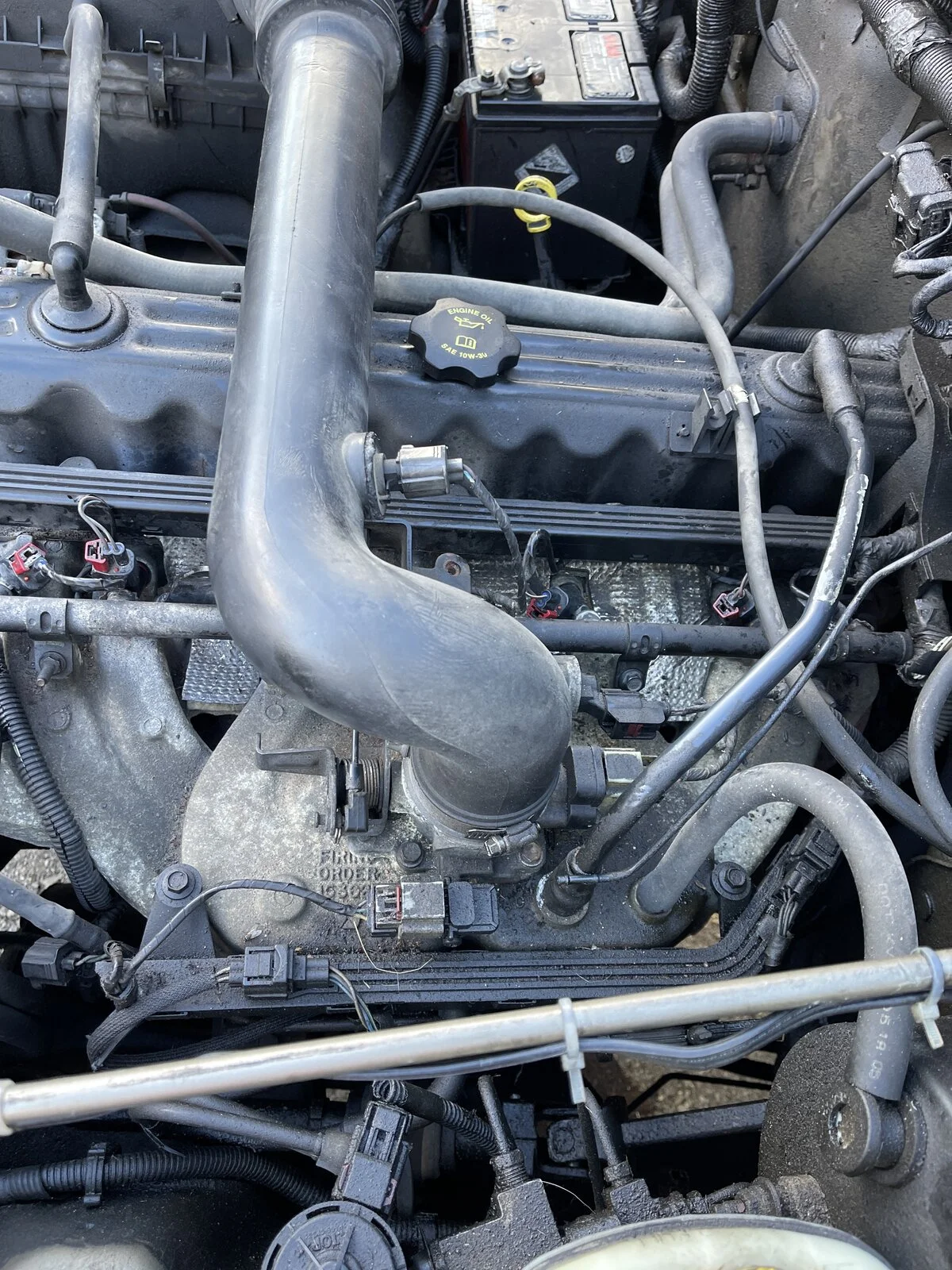 image.webp