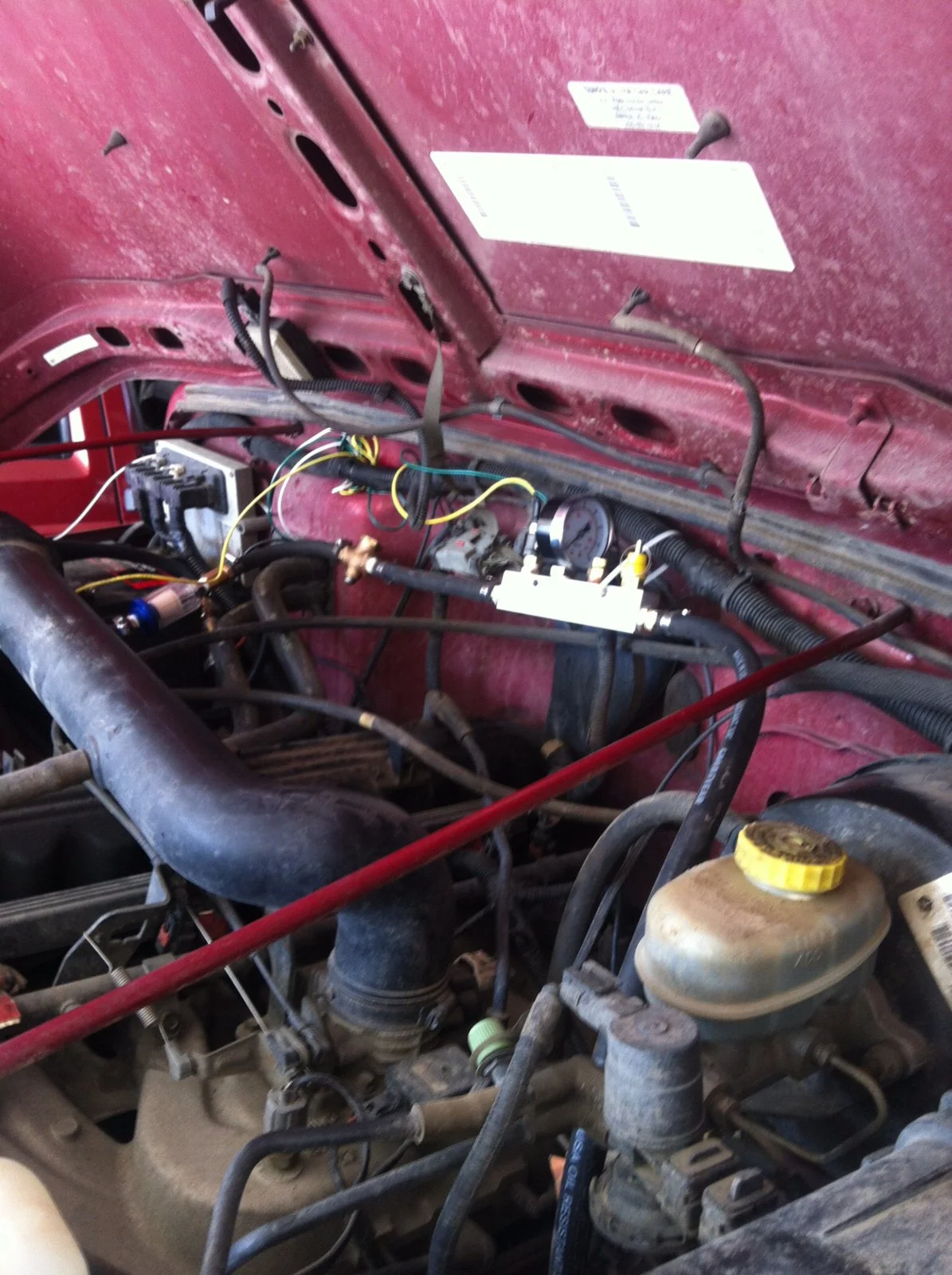 image.webp