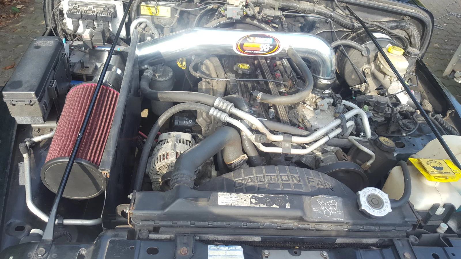 image.webp