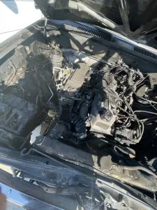 image0.webp