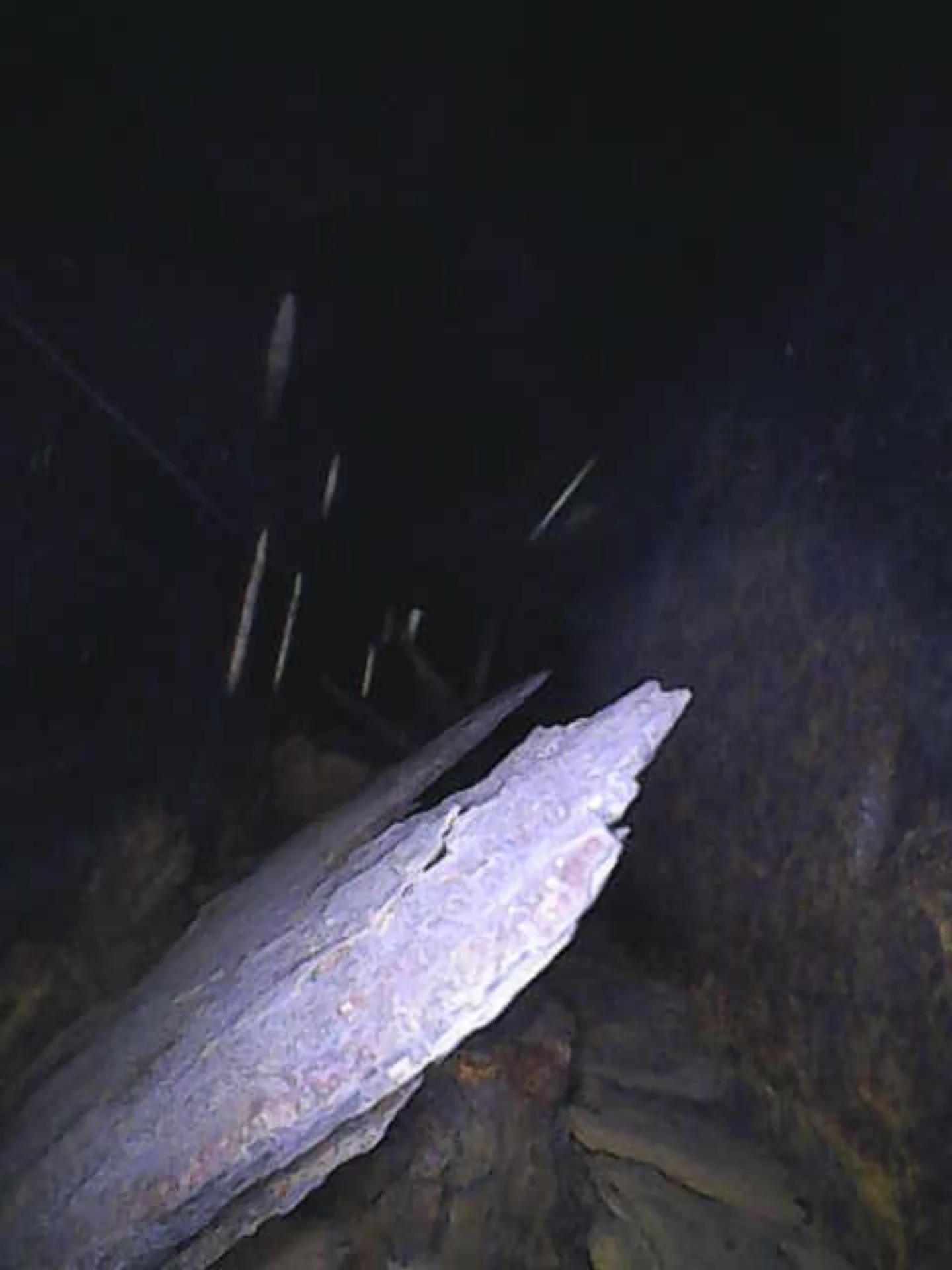 Image_2025-06-20 19.webp