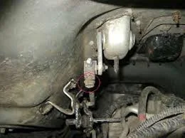 images-1.webp