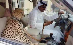 images (5).webp