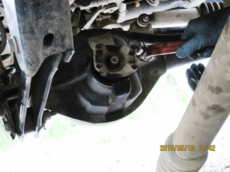 IMG_0259800x600.webp
