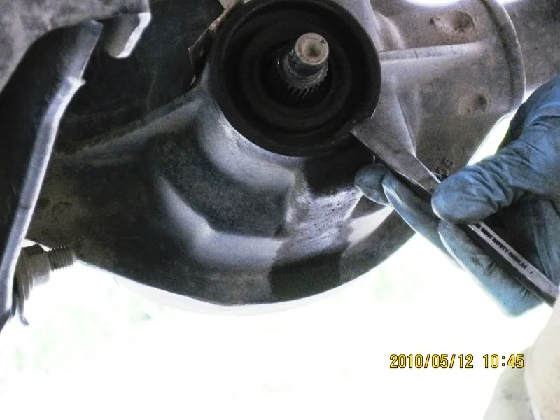 IMG_0261800x600.webp