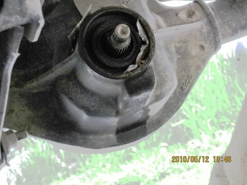 IMG_0262800x600.webp