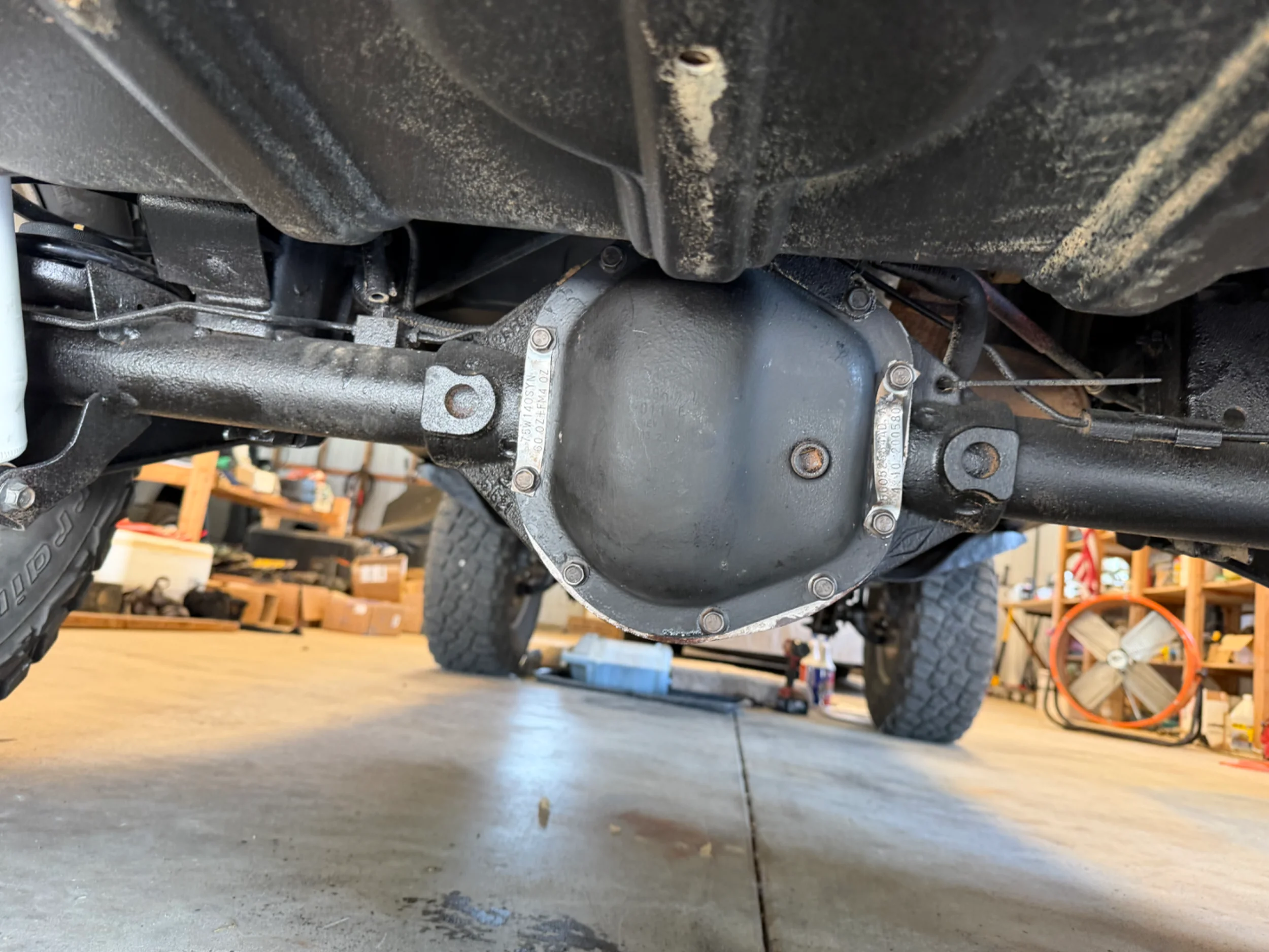 IMG_0424.webp