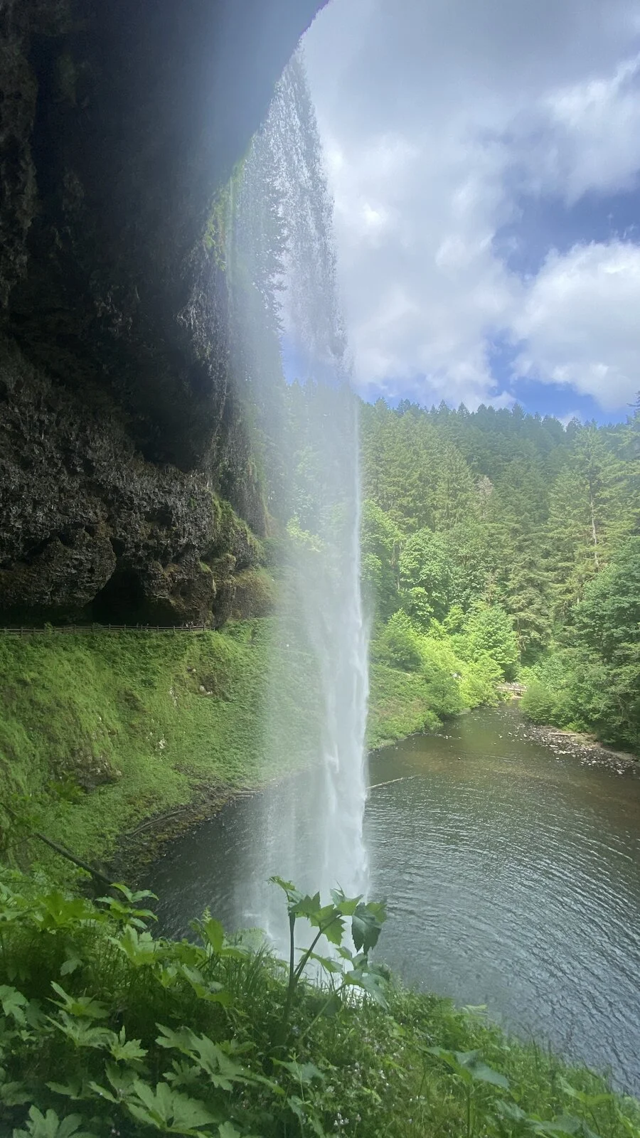 IMG_0487.jpeg