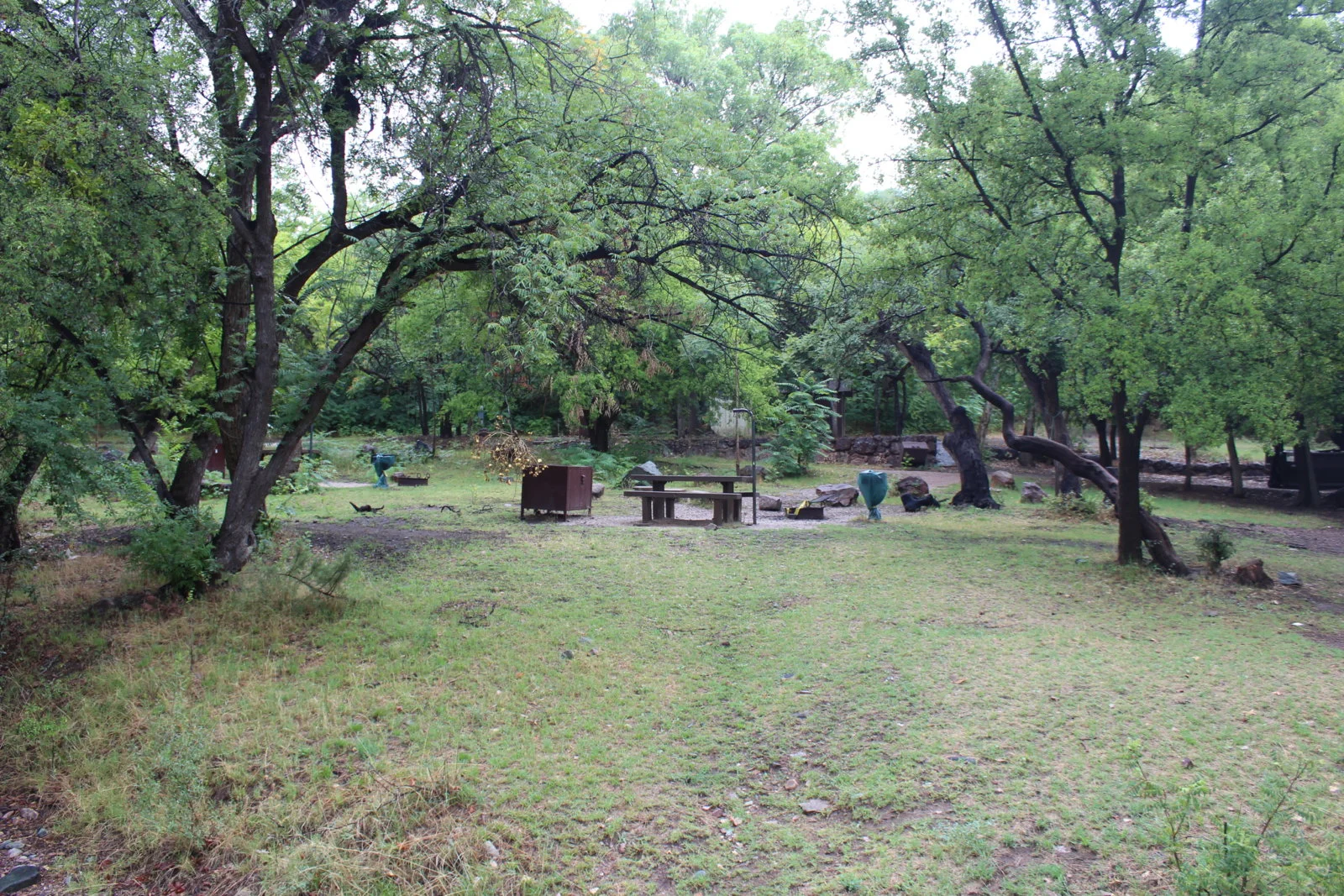 IMG_0709.webp