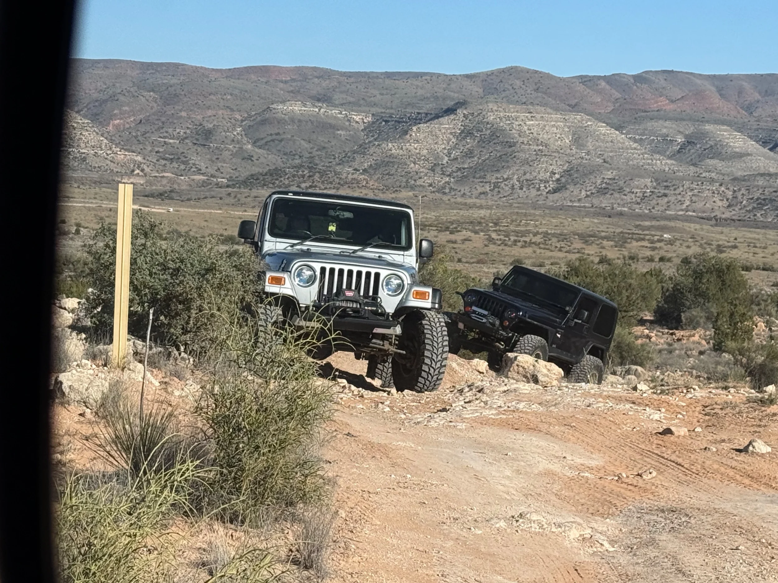 IMG_0802.webp